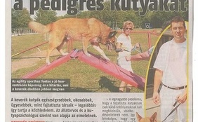 Tudta-e?
